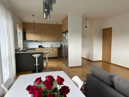 Lasarettsboulevarden, Kristianstad - Foto 3