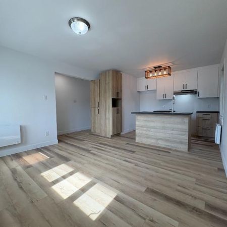 Logement à louer - Photo 4