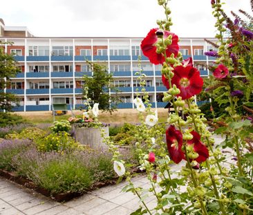 Sorgenfrivägen 33 A, Östra Sorgenfri - Photo 2