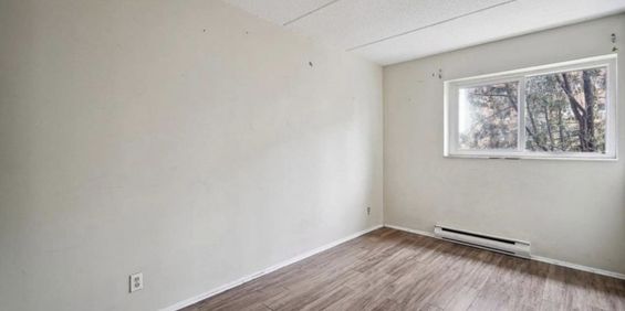 BEL APPARTEMENT A LOUER SUR GATINEAU - Photo 3