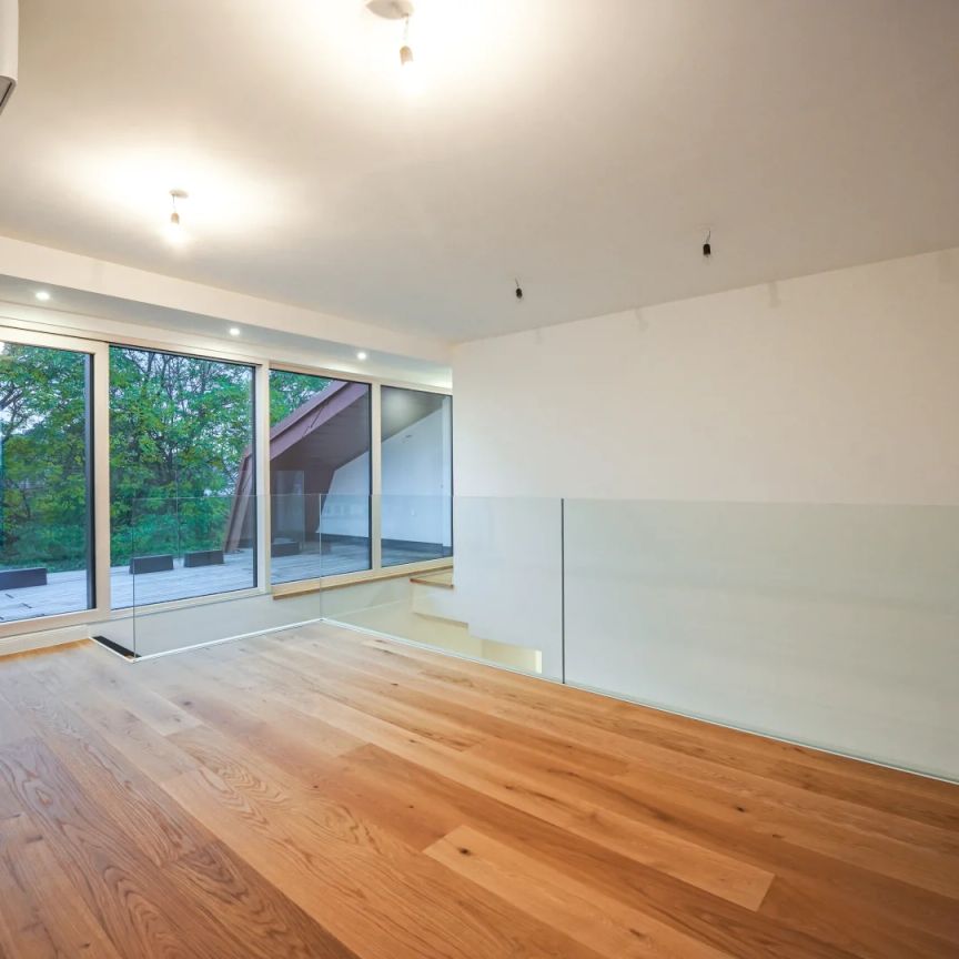 Sonne satt gewünscht? (also, so sie denn scheint?!) - Beinahe Erstbezug – Dachgeschosswohnung mit zwei Dachterrassen und Gartenparzelle in Hietzing -Ost-Süd-Westausrichtung - Photo 1