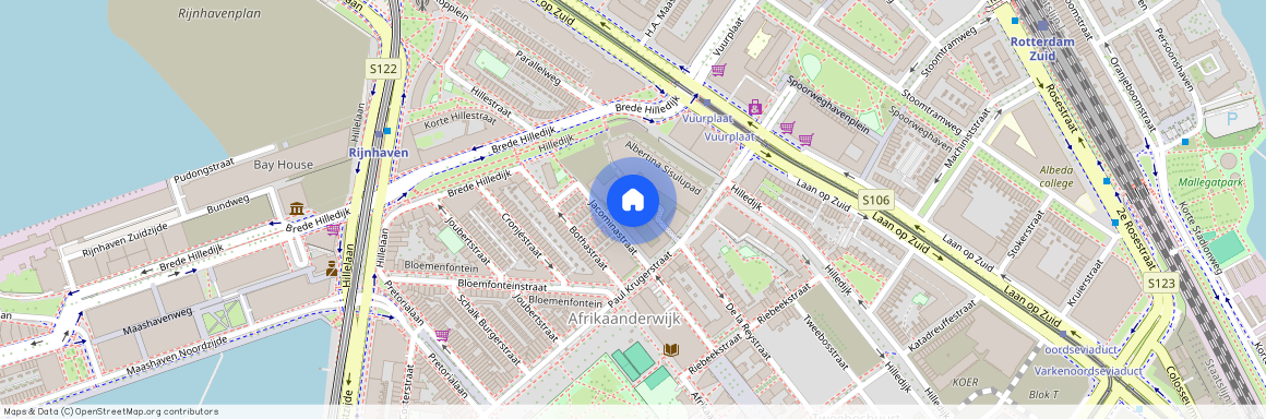 Albertina Sisulupad, 50, Rotterdam