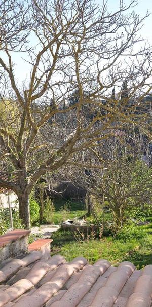 Location / . - Photo 1