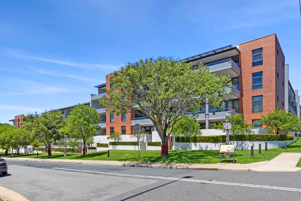 108/22 Eyre Street, Kingston ACT 2604 - Apartment For Rent | Domain - Photo 1