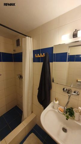 Pronájem bytu 1+kk v osobním vlastnictví 24 m², Praha 6 - Střešovice - Fotografie 4