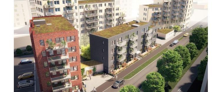 Mandolingatan 122 - Photo 1