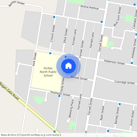 25 Facey Street, Forbes