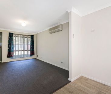 Neat and Tidy 3 X 1 - Photo 2