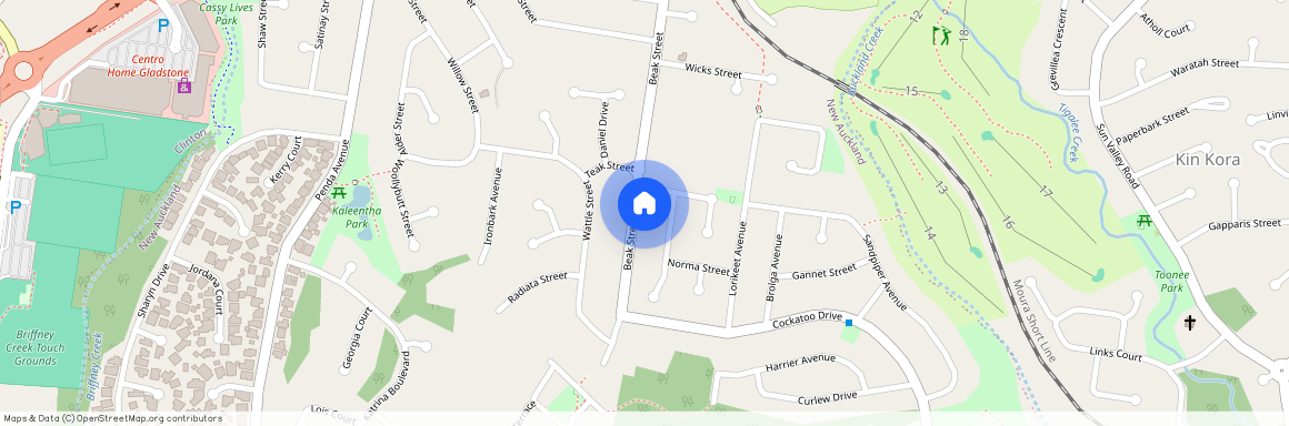 41 Beak Street, QLD 4680, New Auckland