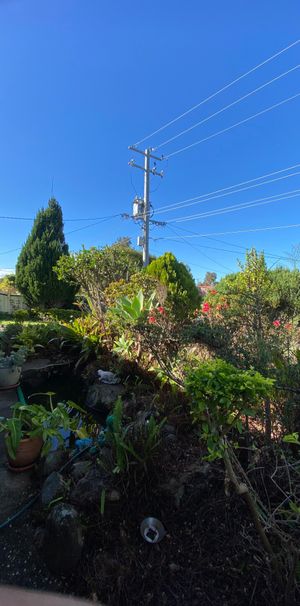 Loganholme - Photo 1