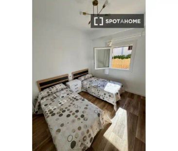Oliva - Photo 5