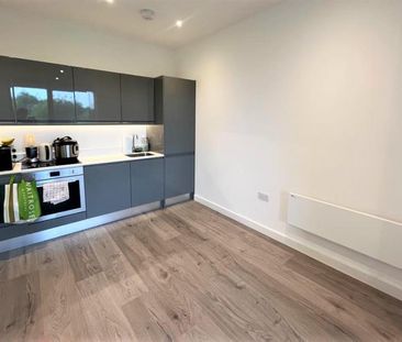 Liongate House, Guildford, Surrey, GU1 - Photo 3