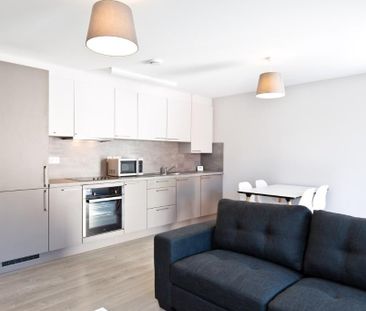 2 bedroom private hall to rent - Photo 3