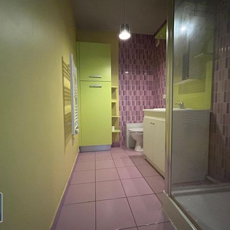 Location Appartement 1 pièce 27m² GRENOBLE 38000 - Photo 3