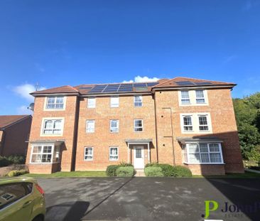 Tawny Grove, Tile Hill, Coventry, CV4 8NL - Photo 2