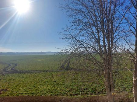 WILLKOMMEN IM GEISELTAL - Foto 4