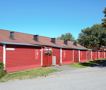 Gåsörtsvägen 4 E - Photo 2