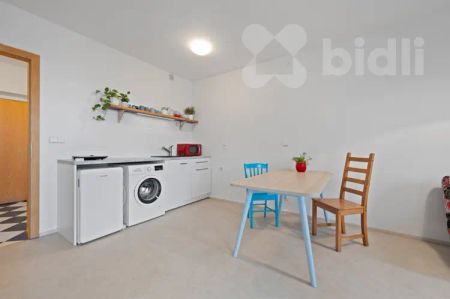 Pronájem bytu 1+kk (38 m²) Podolí - Fotografie 2