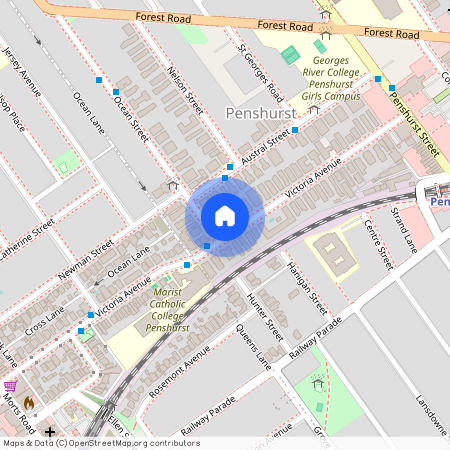 60 Victoria Avenue, NSW 2222, Penshurst