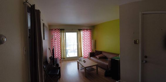 1 CH - 1 SDB - Québec - $997 /mo - Photo 3