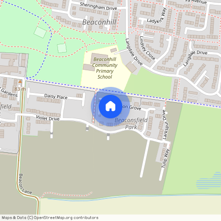 Dandelion, Cramlington, Newcastle Upon Tyne