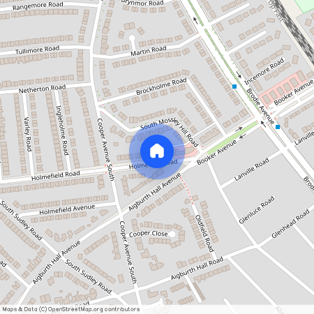 Holmfield Road, L19