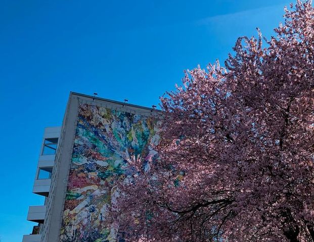 Wohnung Schöneberg | 22.12-31.01 - Foto 1