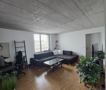 Moderne 2.5-Zimmerwohnung in Zentrumsnähe von Schlieren - Photo 1