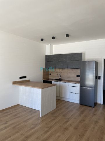 Pronájem bytu 1+kk 50 m² - Fotografie 2