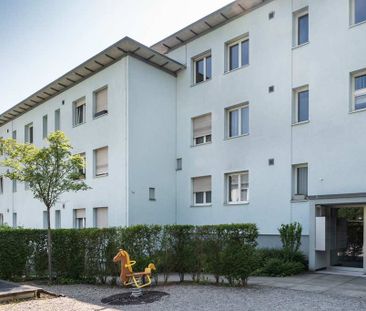 3 Zimmer, 65 m², EG - Foto 5