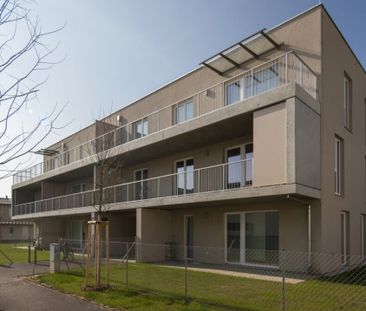 Strasshof – Charmante Gartenwohnung für Paare & Singles - Photo 2