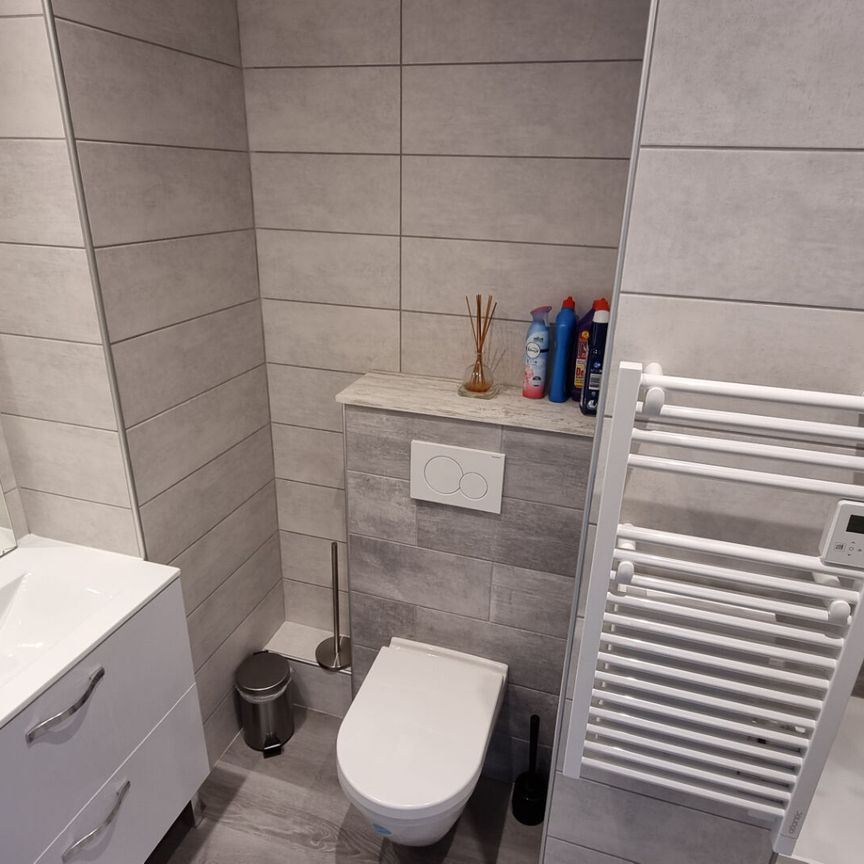 A LOUER APPARTEMENT T2 MEUBLÉ LES HOPITAUX NEUFS - Photo 1