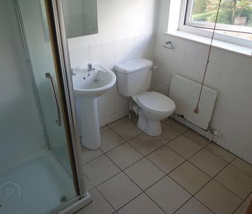 71 Tates Avenue, Belfast, BT9 7BZ - Photo 3