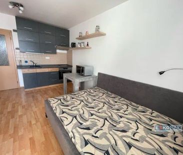 Pronájem bytu 1+kk s lodžií, Stará Břeclav - Fotografie 4