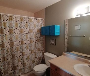 For Lease - 712 Activa Avenue, Kitchener, Ontario - Photo 4