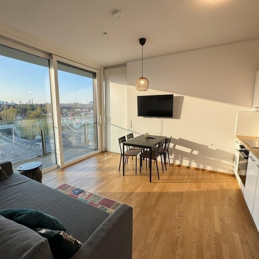 LEBEN IM TRIIIPLE - wunderschöne 2 Zimmerwohnung mit Rooftop Pool - STADT. LAND. FLUSS. - Photo 1