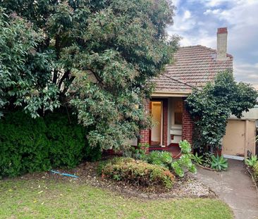 75 Ormond Road, Moonee Ponds VIC 3039 - Photo 3
