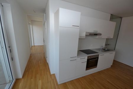 Jakomini – 54 m², traumhafte 3 Zimmerwohnung – riesiger Süd-Westbalkon – WG fähig - Photo 4