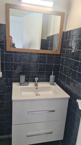 Location Appartement 1 pièce 27m² - Photo 4