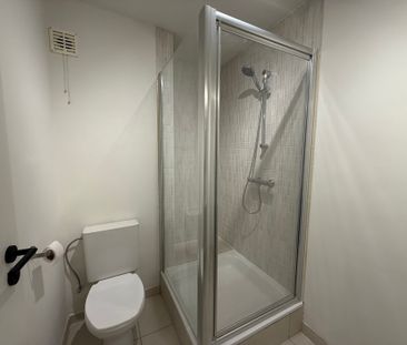 WETTEREN - Hernieuwd appartement in het centrum. - Photo 6