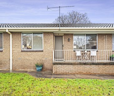 2/161 Bilba Street, East Albury NSW 2640 - Apartment For Rent | Domain - Photo 3