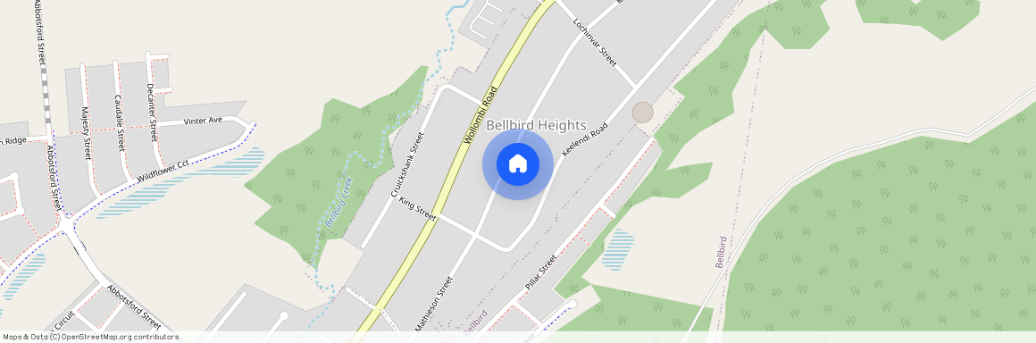 163 Mathieson Street, NSW 2325, Bellbird Heights