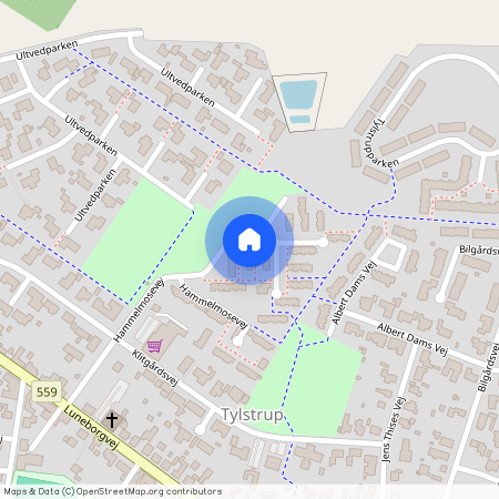 Hammelmosevej 46, 9382 Tylstrup