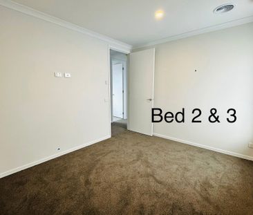 Donnybrook - Photo 2