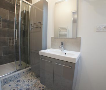Location Appartement 1 pièce Meublé 17m² ANGERS 49000 - Photo 4