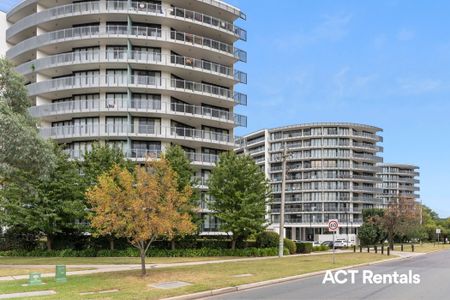176/1 Mouat Street, Lyneham ACT 2602 - Apartment For Rent | Domain - Photo 2