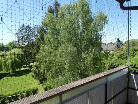 WOHLFÜHLZONE: gepflegte, sonnige 3- Zimmerwohnung in GRÜN- und TOPLAGE mit Balkon - Foto 4