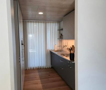 Moderne 4.5-Zimmer-Neubau-Wohnung in Wohlen AG - Photo 2