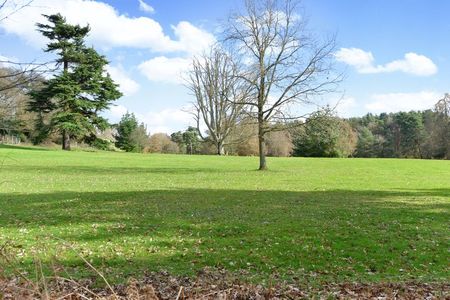 Enton Lane, Enton, Godalming, Surrey, GU8 - Photo 5