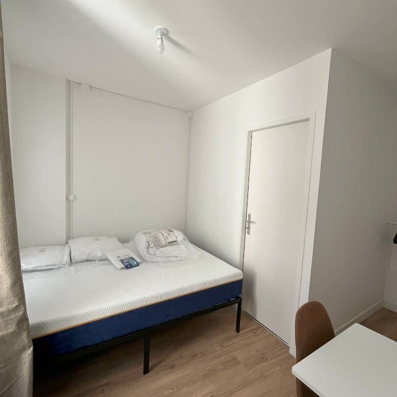 Colocation meublée a Nantes - Photo 1